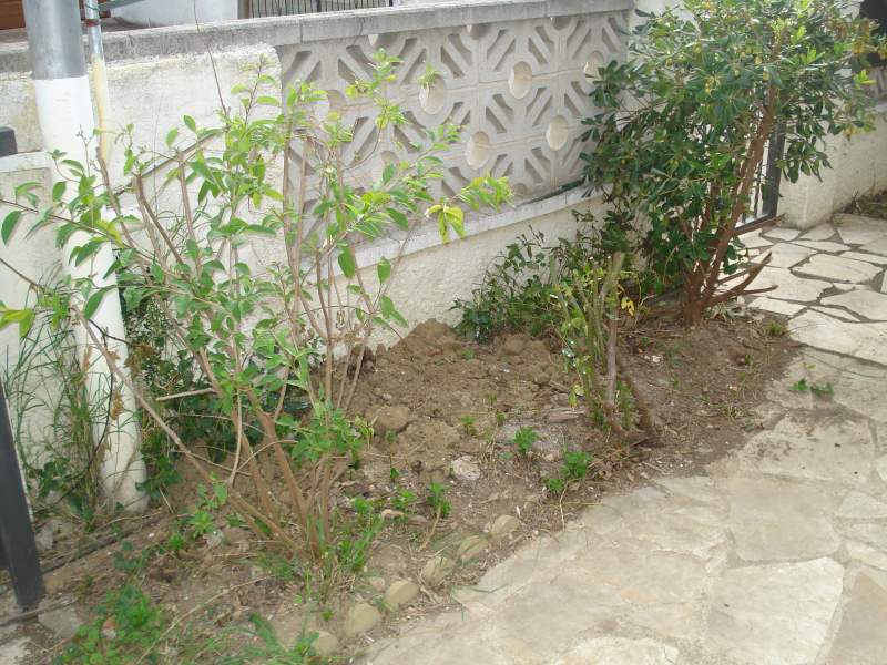 PATIO FRONTAL JARDINERA